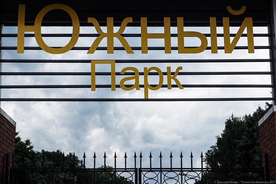 В Южном парке Калининграда подрядчик разбил уложенный им же асфальт (фото)