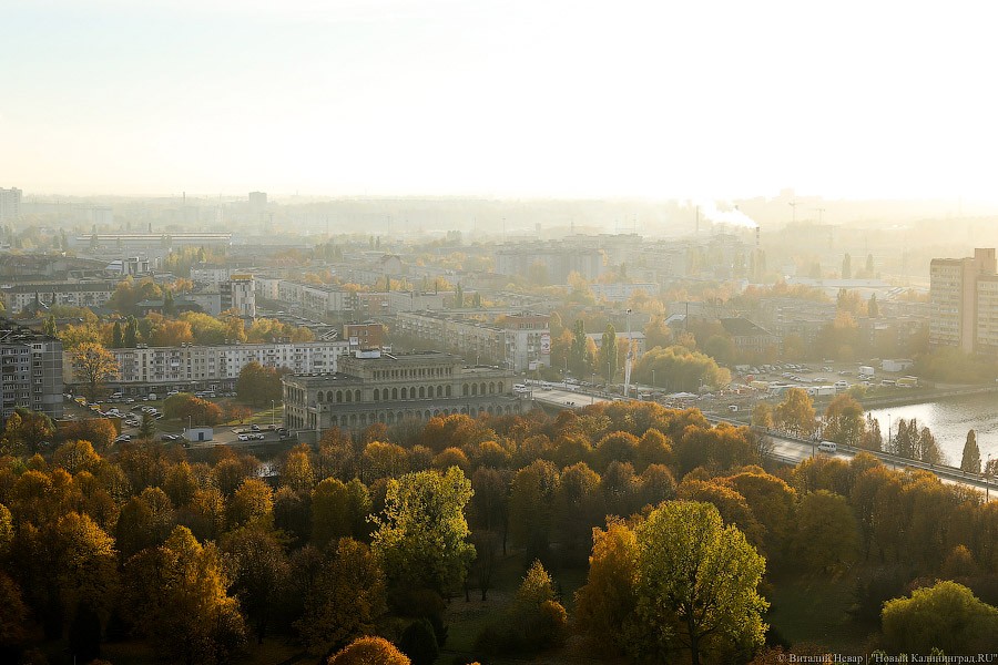 Мэрия Калининграда заказала проект ремонта эстакадного моста