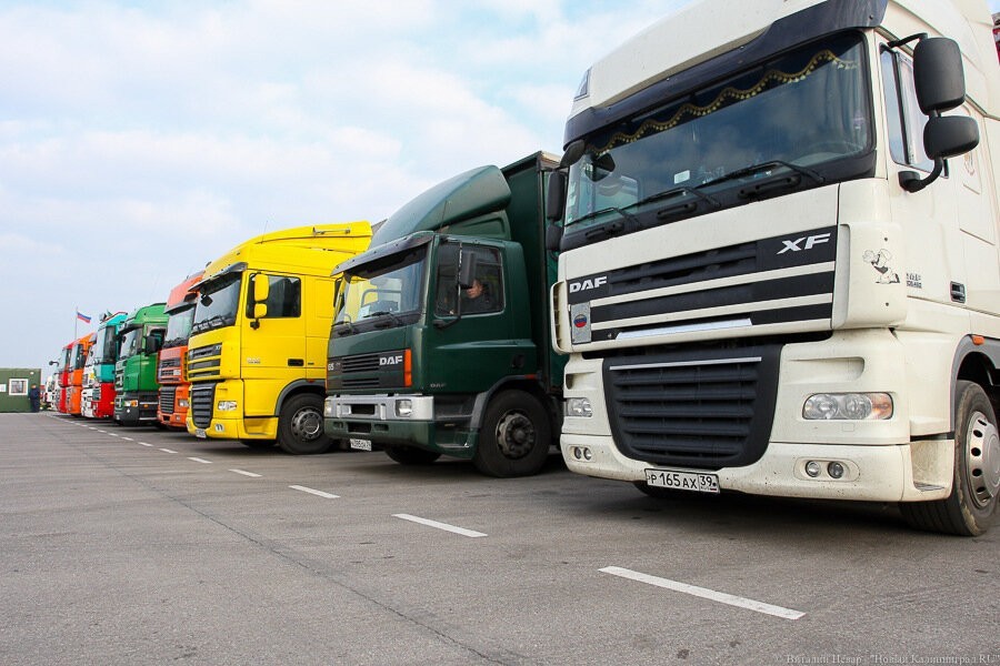 Власти хотят добиваться поправок, определяющих статус накопителей для фур на границе