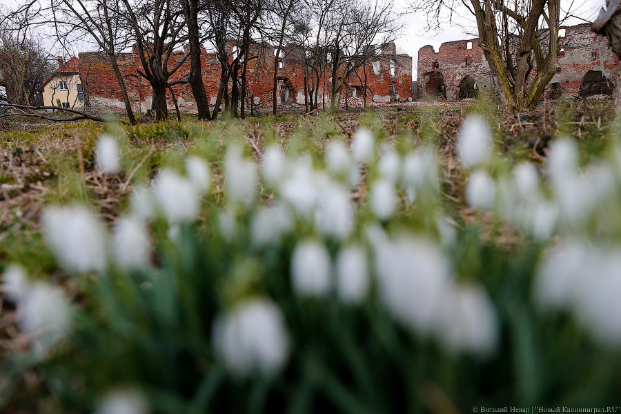 В Калининграде побит суточный температурный рекорд, продержавшийся 30 лет