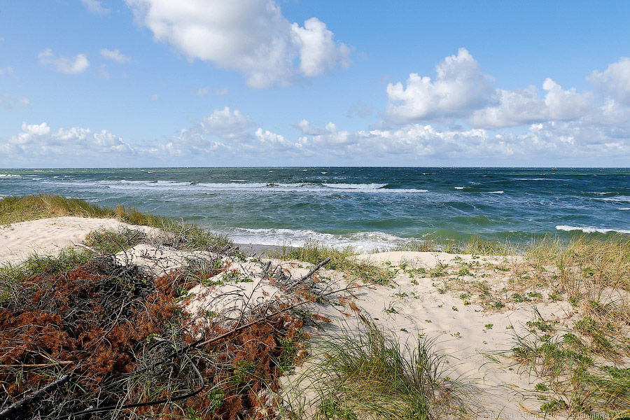 Утонувшая на Балтийской косе светловчанка пыталась спасти своего друга