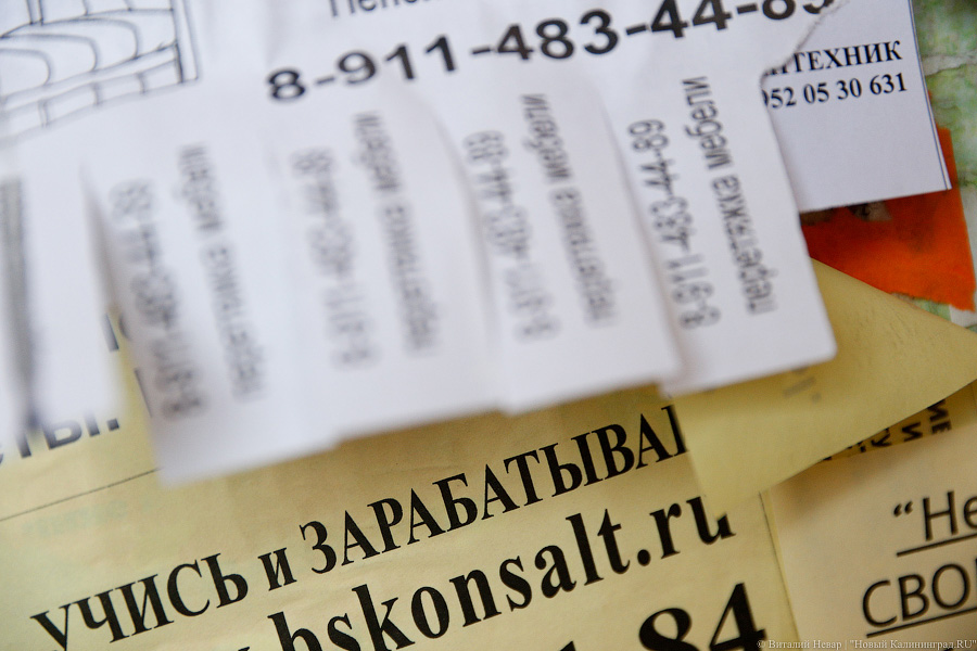 Кабмин: за год в России численность безработных снизилась почти на 14%