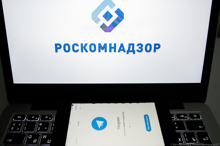 Зацепинг, АУЕ и фальшивки: за год в регионе Роскомнадзор заблокировал 1,4 тыс. сайтов