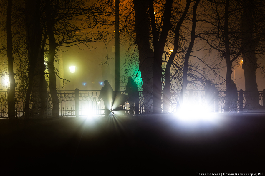 Погода в Калининградской области 25 февраля