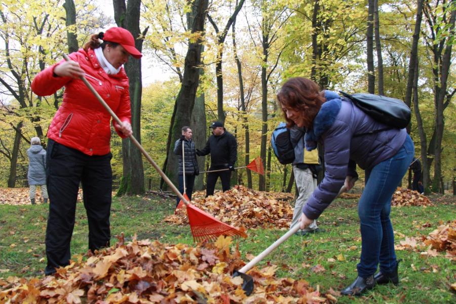 В Калининграде на общегородской субботник вышли 1,5 тыс человек
