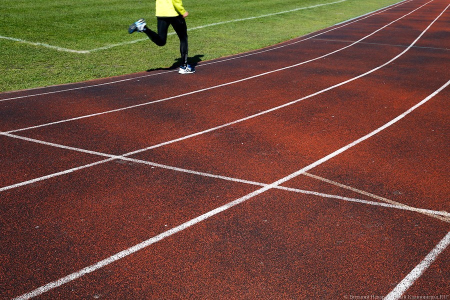 В Калининграде хотят разрешить строить гостиницы в зоне физкультуры и спорта