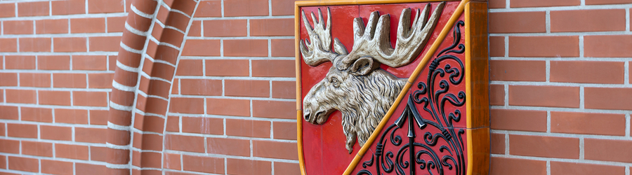 Вечерний@Калининград: германизации — бой, уроки выживания и активные выходные