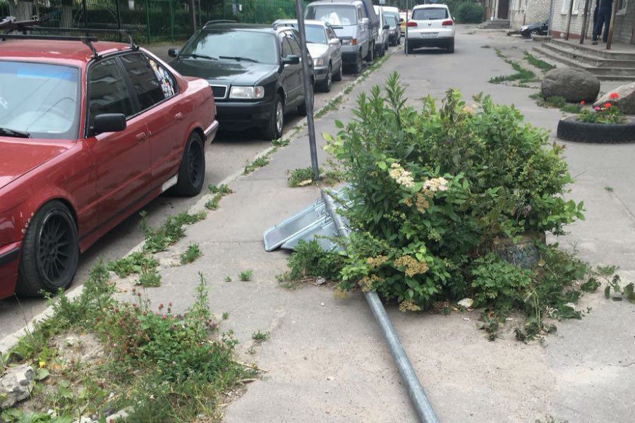 Очевидцы: повисшее на проводах дерево заблокировало проезд по ул. Портовой