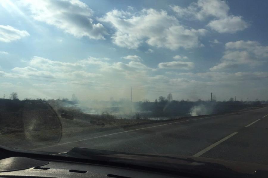 В Черняховском районе горят поля (фото)