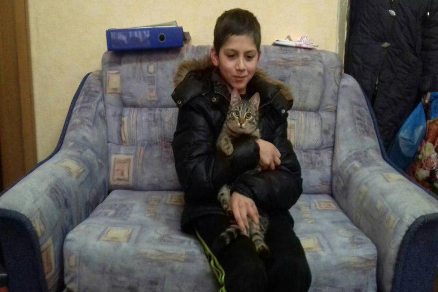 Бездомный кот всю ночь согревал пропавшего школьника в сарае