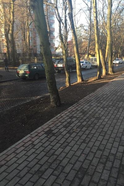 В Центральном районе ГАИ штрафует водителей, не заметивших новые знаки (фото)