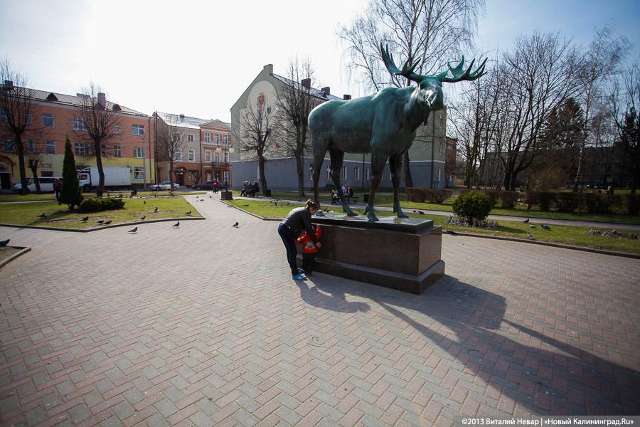 В августе на востоке области пройдет международный полумарафон Гусев — Голдап