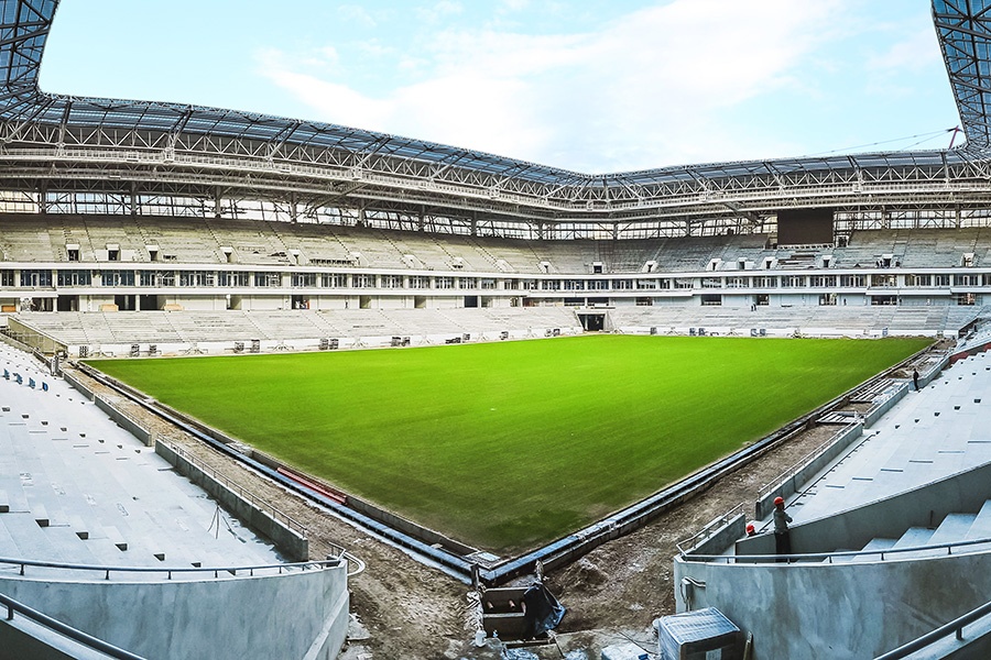 В Калининграде на поле стадиона для ЧМ-2018 взошла трава (фото)