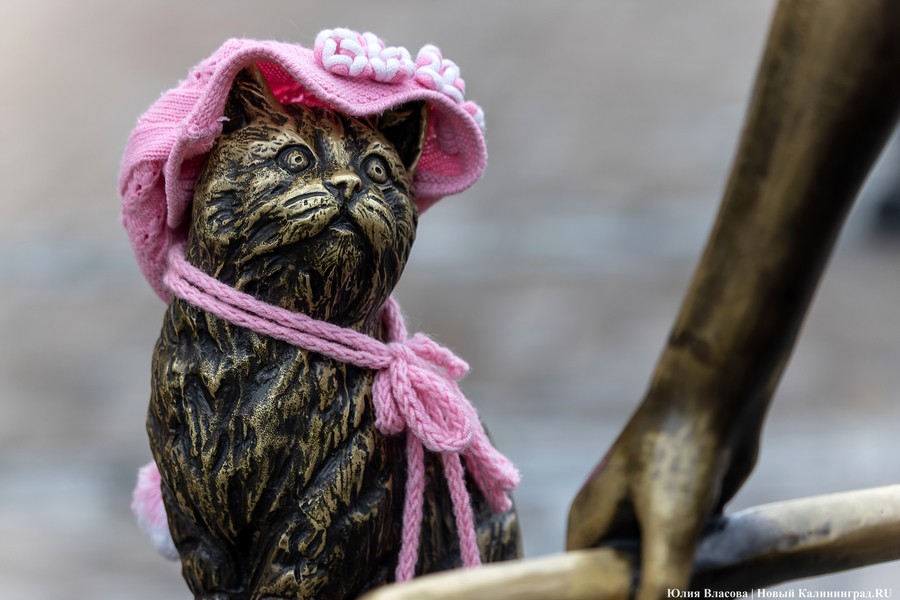 Погода в Калининградской области 23 ноября