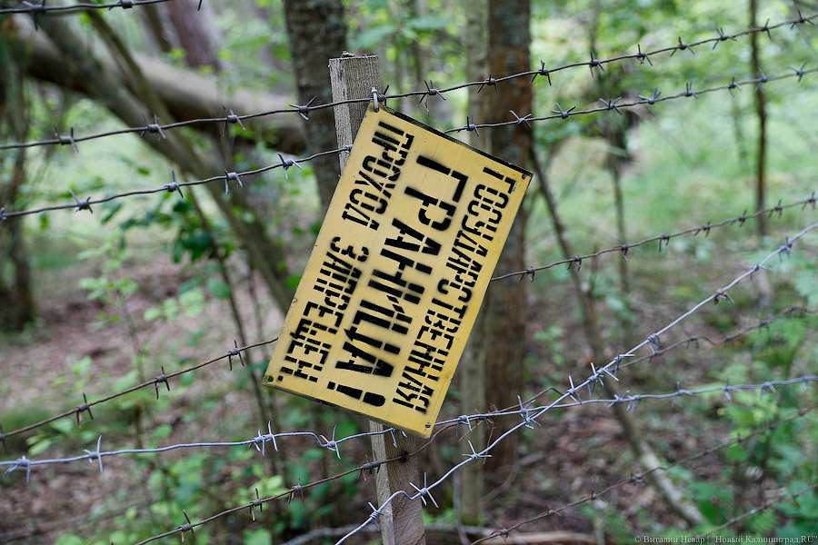 Володин заявил о запрете состоящим на воинском учёте россиянам выезжать за рубеж