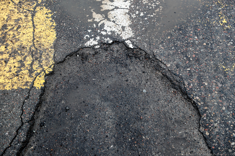 Елена Дятлова о начале реконструкции Аллеи Смелых: «Апрель — наличие контракта»