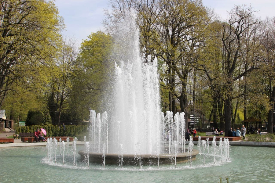 «Тоже бросаете камешки?»: в зоопарке отключают исторический фонтан для очистки от камней