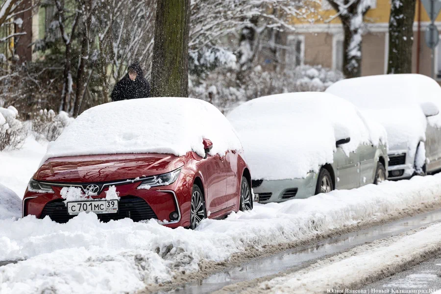 Власти Калининграда сообщили, где планируют оборудовать новые платные парковки