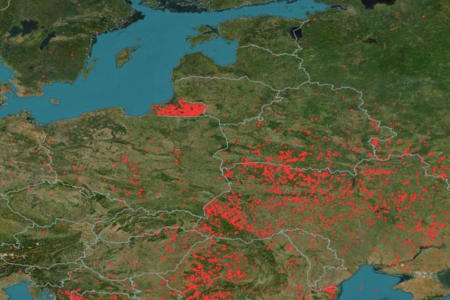 Эксперты — о сезонных палах травы в Калининградской области: ситуация ужасающая (видео)