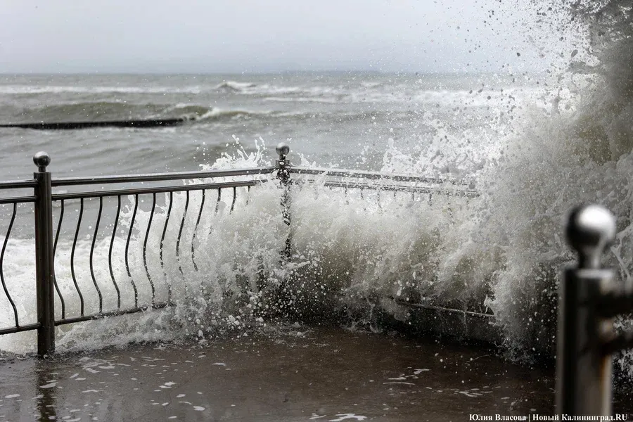 Калининградцев предупреждают об усилении ветра до 20 метров в секунду