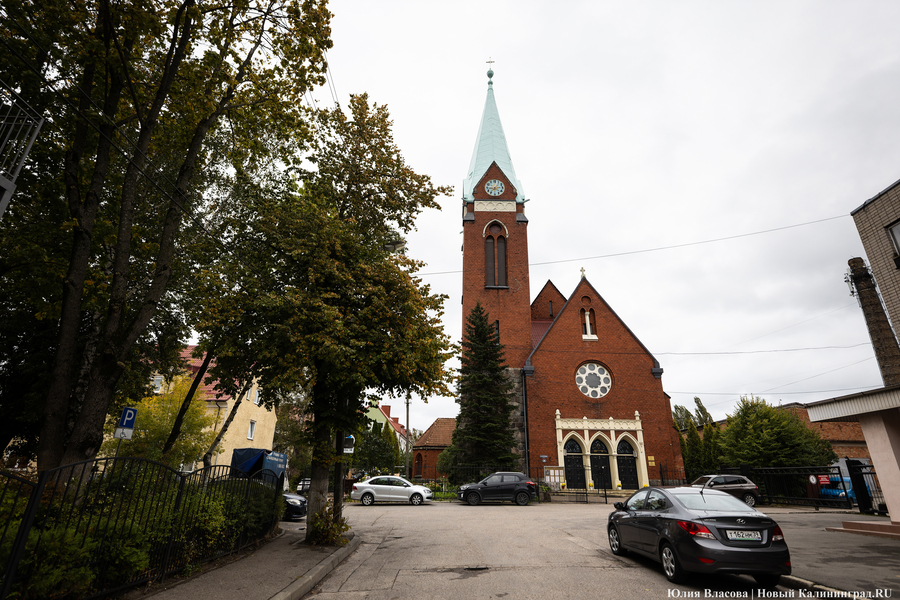 Розенау: живописная скотобойня, обезьяна на медведе и «армия клонов»