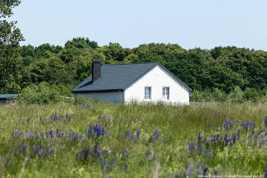 «Медленно отжимают участки»: садоводы приморских СНТ опасаются за будущее