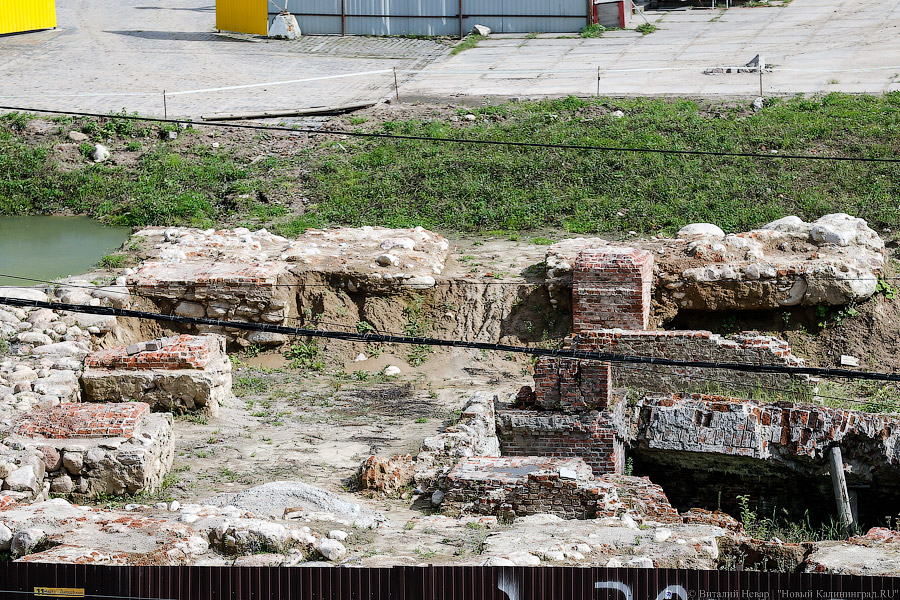 Госструктура не нашла желающих консервировать руины Королевского замка