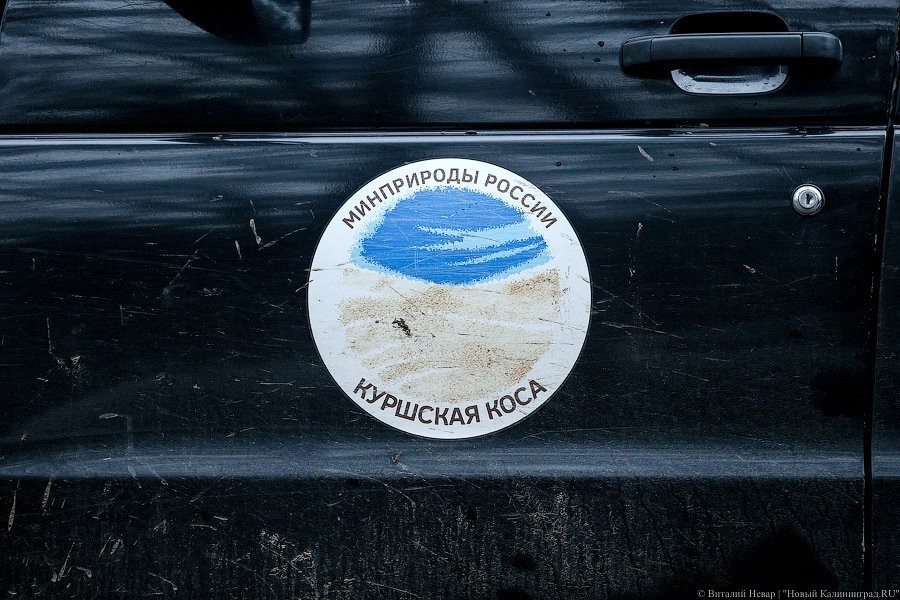 Музей «Куршской косы» опубликовал график работы в новогодние каникулы