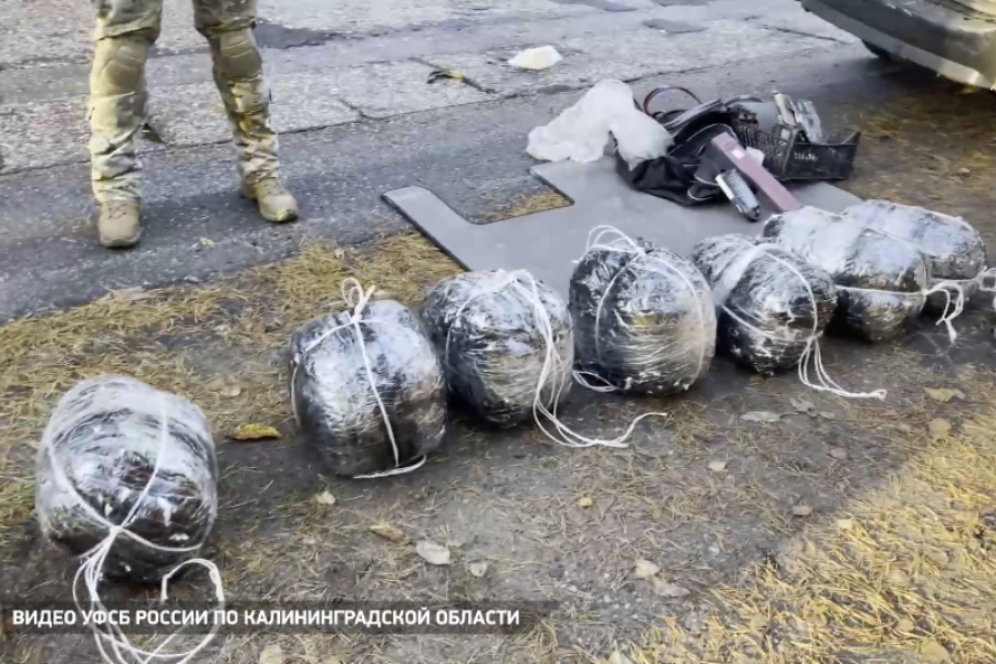 Депутата из Светлогорска, подозреваемого в контрабанде янтаря, суд оставил в СИЗО