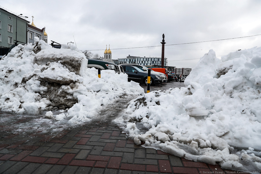 882 млн литров воды: Дятлова рассказала, как власти Калининграда готовятся к потеплению