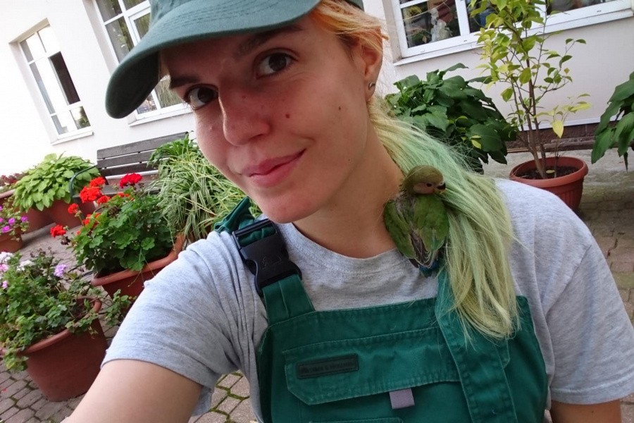 Горошек в балаклаве: сотрудник зоопарка выкармливает брошенного птенца (видео)