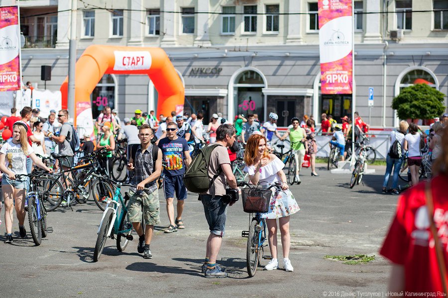 Седьмой «День колеса» пройдёт в Калининграде в конце мая