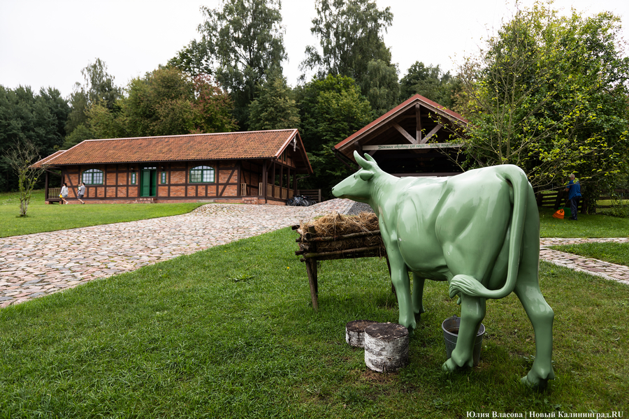 Беспрозванных: удалённые территории получат приоритет по программе «Восток»