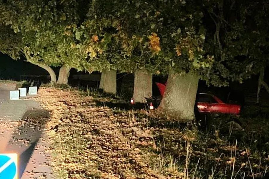 В ДТП под Багратионовском пострадали мужчина и подросток (фото)