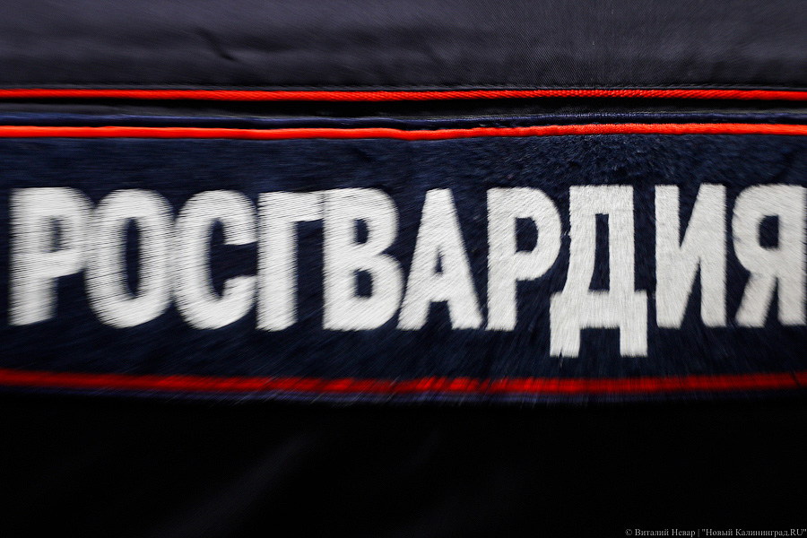 53-летний житель Советска ударил росгвардейца, возбуждено уголовное дело