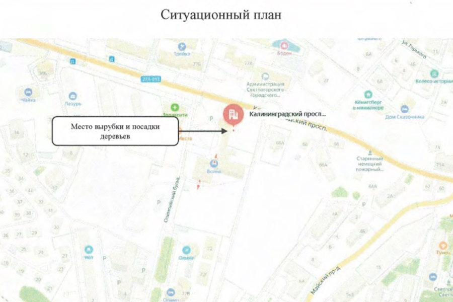 На Калининградском проспекте в Светлогорске разрешили вырубить 107 деревьев