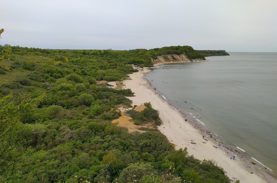 Алиханов о сокращенном им заказнике: его создали для защиты от чернокопателей