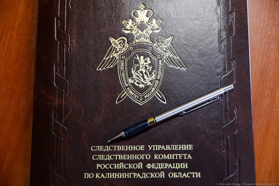 СК: 19-летний парень избил жителя Озерска утюгом и деревянными брусьями до смерти