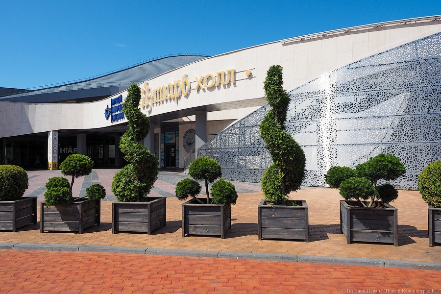 Теноров из Италии и Испании на концерте в «Янтарь-холле» заменят солисты из Сербии