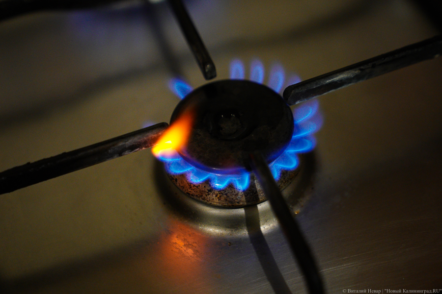 Сроки строительства газопровода в Балтийск сорвали сразу после заключения контракта