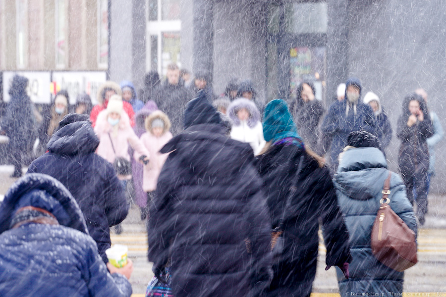 «Разброс» прогнозов: погода в Калининградской области 21 февраля