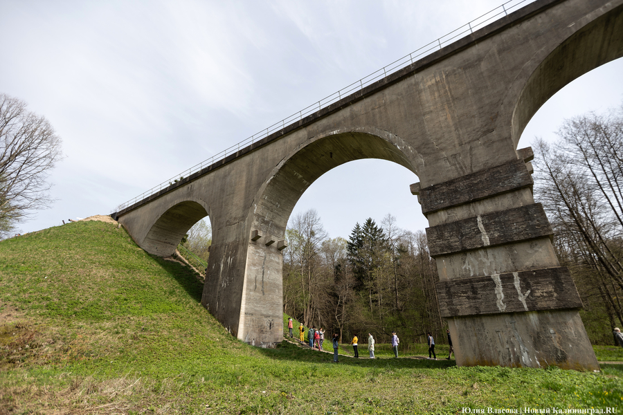 Власти о селфи-зоне в Токаревке за 17,8 млн: «Это в положительном плане дико»