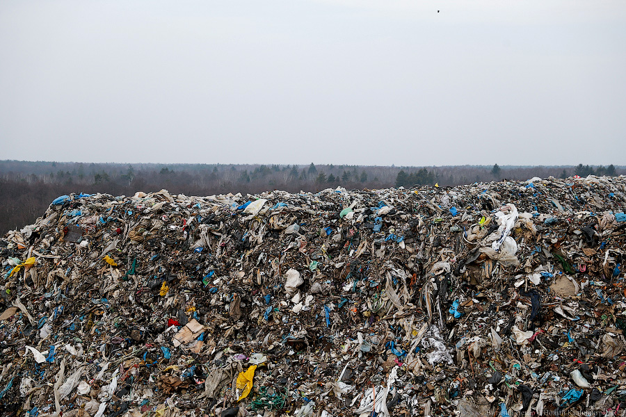 Суд: мусорный оператор Калининградской области задолжал 60 млн за выбросы в атмосферу 