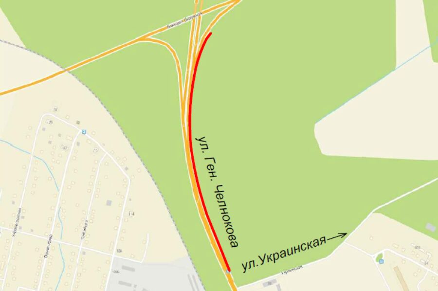 Горвласти выдали порубочный билет на 64 дерева по ул. Челнокова