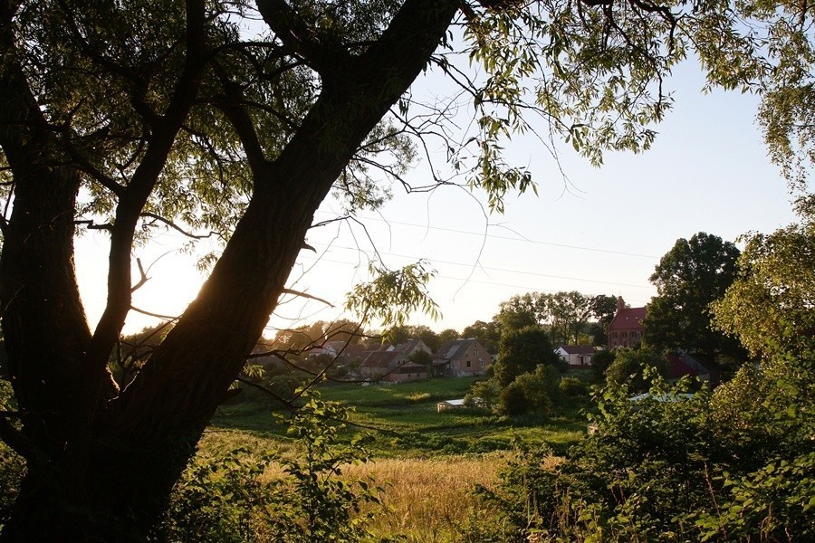 В Краснолесье решили собрать деньги на туристический центр продажей луковых пирогов