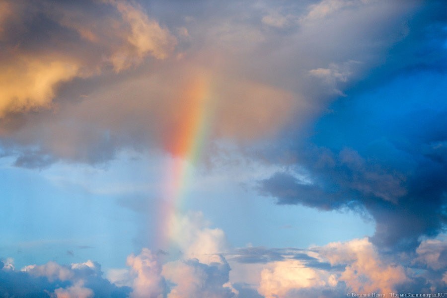 Близко к норме: калининградские ученые рассказали, каким будет лето