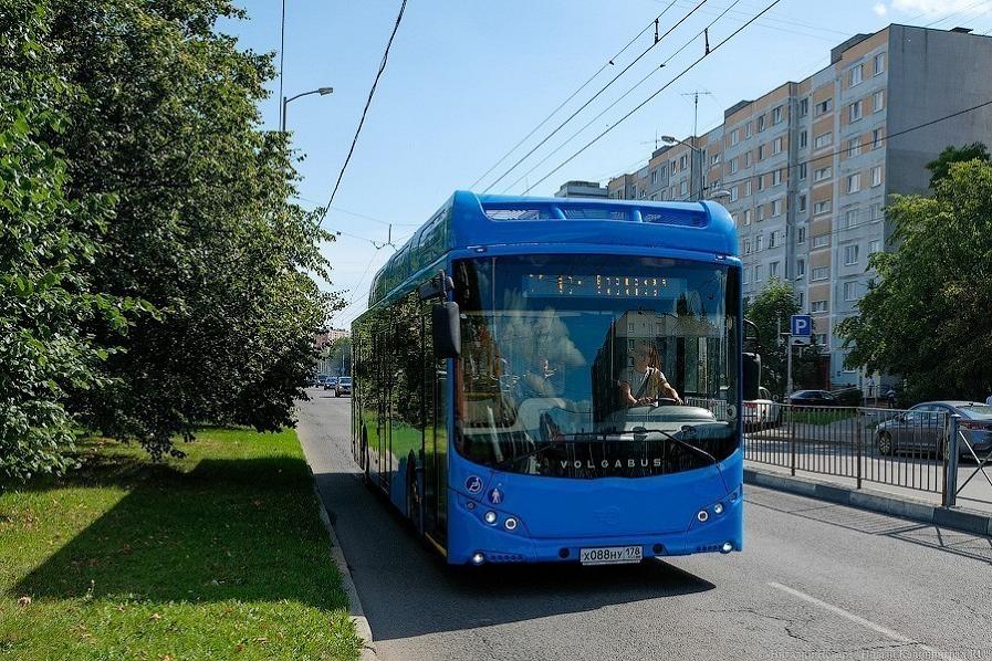 В бюджет Калининграда закладывают 100 млн руб. на обновление парка автобусов