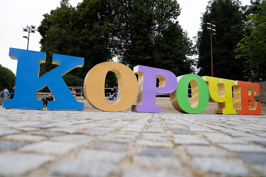 В Калининграде выходят в прокат фильмы фестиваля «Короче» 