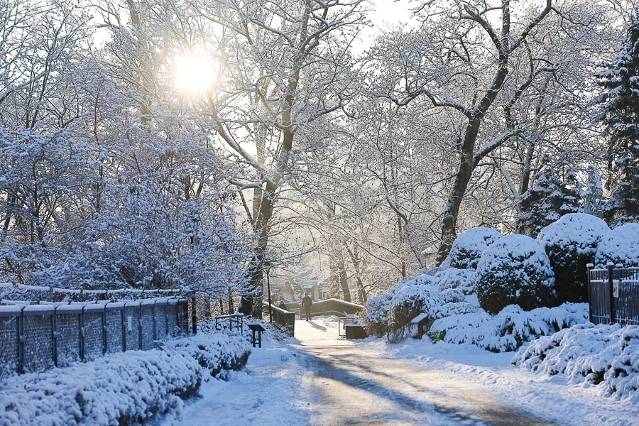 Конца «морозного действа» не видно: прогноз погоды в Калининграде на неделю