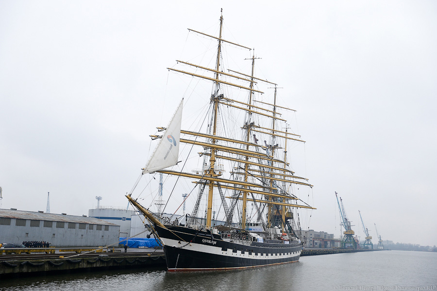 Чтобы удешевить мост через залив, в Калининград решили не пускать «Крузенштерн»